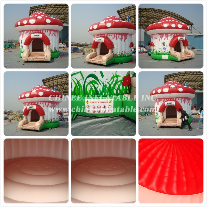 a - Chinee Inflatable Inc.