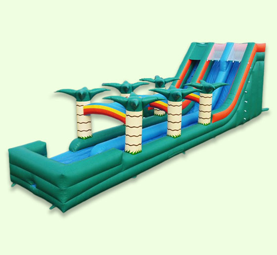 Inflatable Water Slide