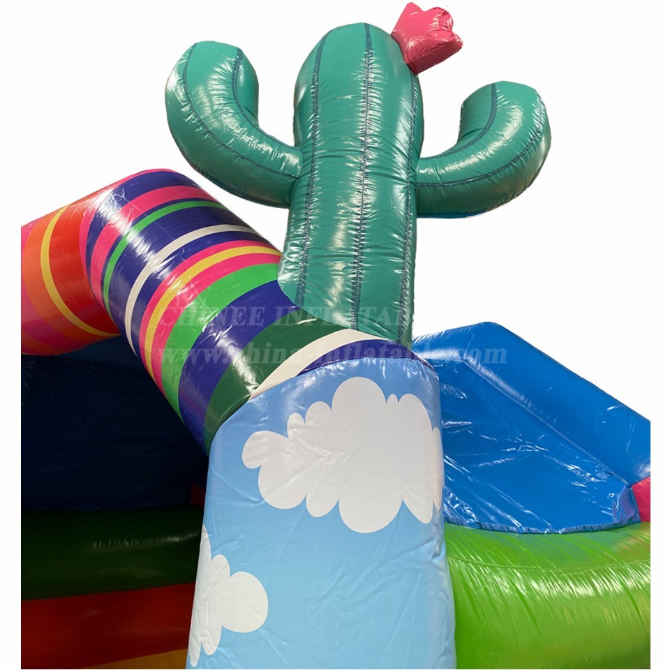 T2-4837 Alpaca Inflatable Combo