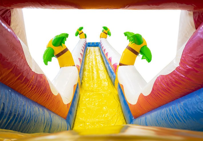 T8-4602 Waterslide Hawaii
