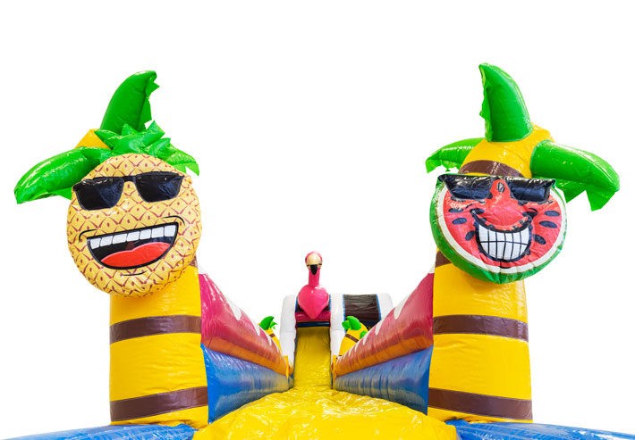 T8-4602 Waterslide Hawaii