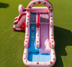 T8-7493 Strawberry Shortcake Theme Infla...