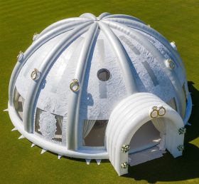 Tent1-4982 Weddings Theme Inflatable Dom...