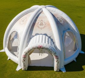 Tent1-4994 Weddings Theme Inflatable Dom...