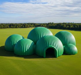 Tent1-6218 Green Dome Cluster Inflatable...