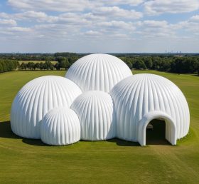 Tent1-6233 White Dome Cluster Inflatable...
