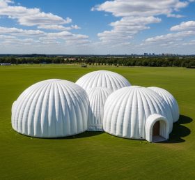 Tent1-6236 Geodesic Dome White Inflatabl...