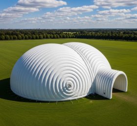 Tent1-6238 Twin Dome Inflatable Tent