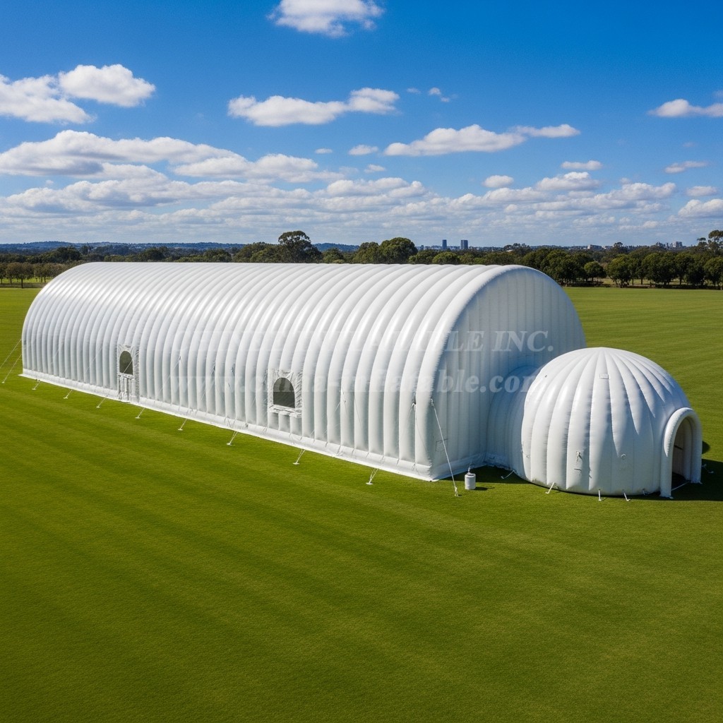 Tent1-6285 Event Inflatable Dome Tent