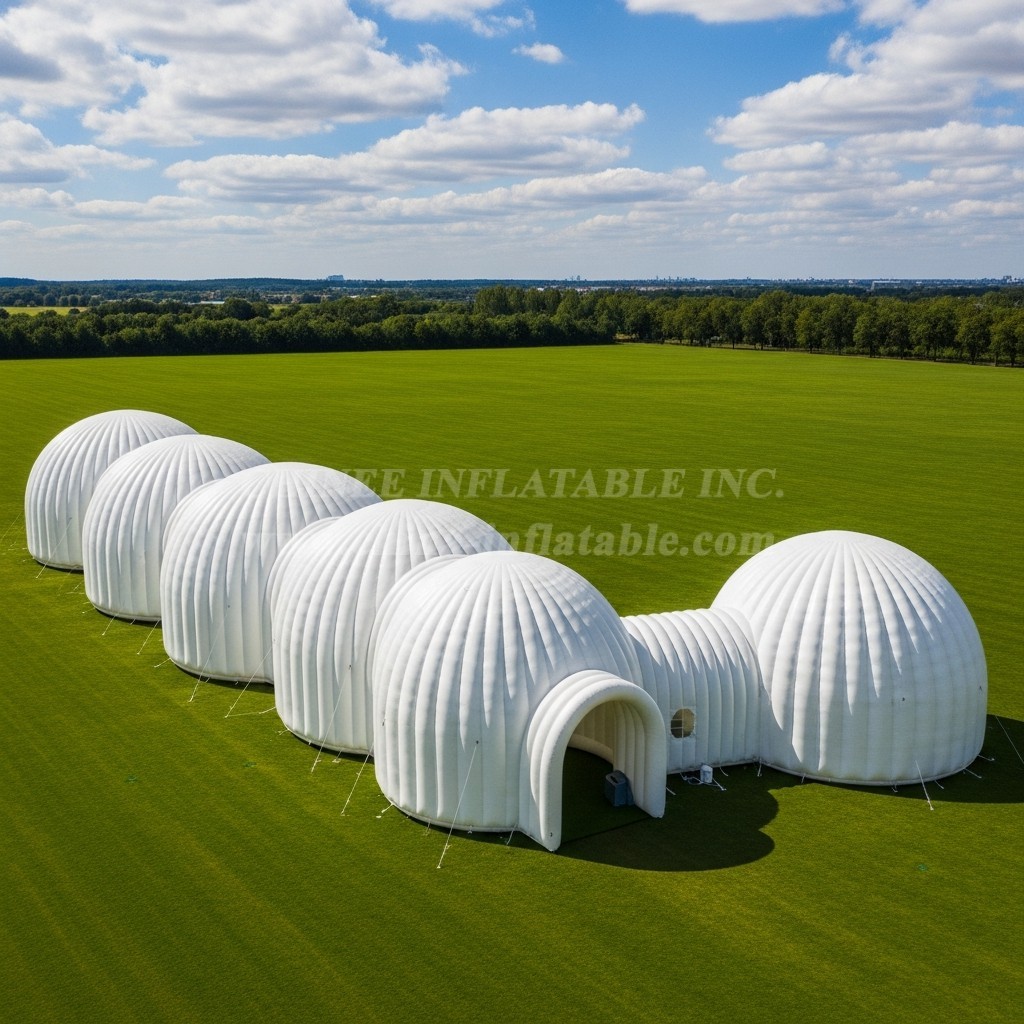 Tent1-6291 Dome Corridor Inflatable Tent
