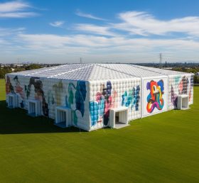 Tent1-6440 Inflatable Rectangular Art Te...